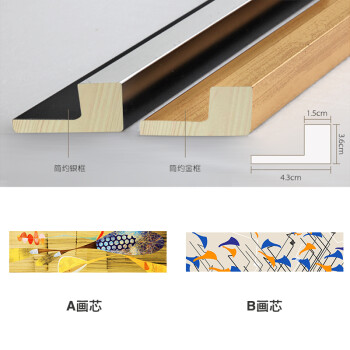 时黛 现代简约装饰画 餐厅挂画 有框画客厅沙发背景墙画卧室壁画 琵琶之音SD085 6折 简约银框A款152*42