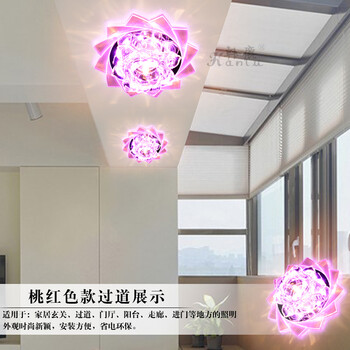 合丰 LED进口贴片过道灯玄关灯阳台灯走廊灯水晶灯吸顶灯门厅灯入户灯现代时尚梦幻花朵灯 LED3W+紫红辅光 暗装