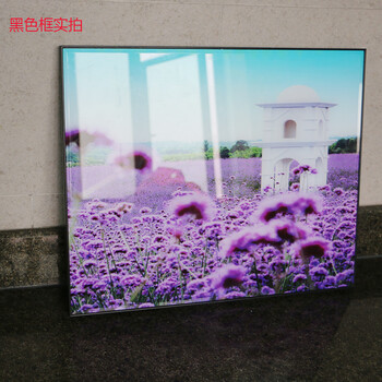 
                                        艺轩（YiXuan） 电表箱装饰画液压推拉配电箱挂画开关总闸电表盒遮挡壁画餐厅冰晶画 S02 40宽*50长内径35*40长（液压横长）                