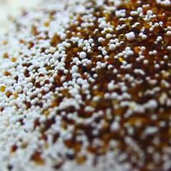 派瑞PERIC 甲醛宝标准装600G 除甲醛 去甲醛 除异味 体验装36包