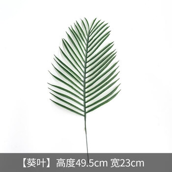 客厅北欧风家居装饰仿真龟背叶餐桌花艺插花绿植植物 图片
