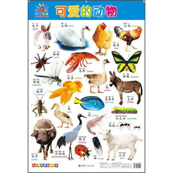 可爱的动物 0-3-4-5-6岁幼儿童启蒙认知大挂图 动物世界 动物认