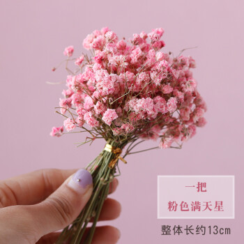 风干花客厅花瓶插花仿真花假花束diy小清新餐桌装sn2610 粉色满天星