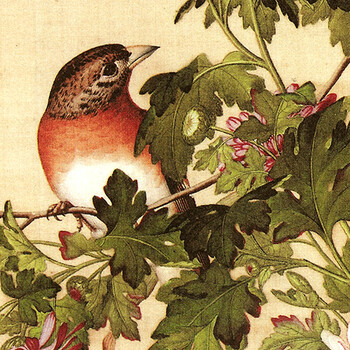 
                                        凝美 现代中式客厅装饰画 中国名家郎世宁画 实木有框画 沙发背景墙挂画餐厅画花鸟 郎世宁花鸟三联组合 30*40cm实木有框画35mm厚                
