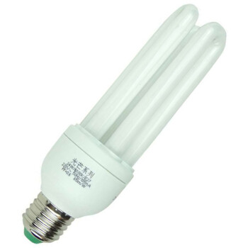 
                                        
                                        雷士照明（NVC）节能灯 E27大口3U24W6500K 日光色（白光）                