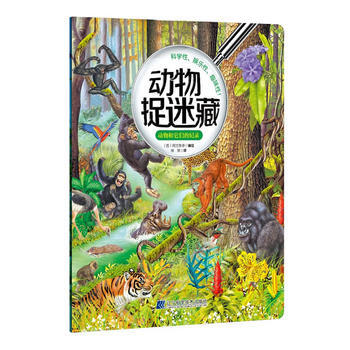 动物和它们的纪录-动物捉迷藏