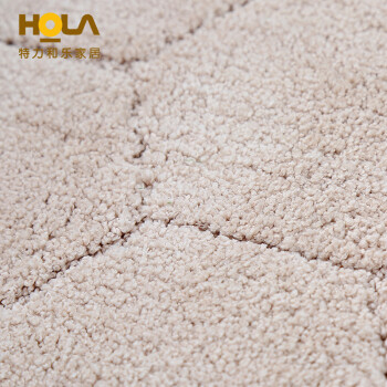 HOLA特力和乐 HH哈利超纤柔踏垫50*80 卧室客厅门厅地毯HH126138 绿