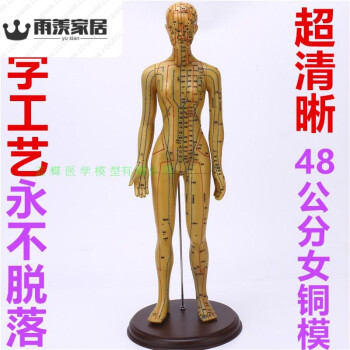 超清晰经络通男女人体模型人体经络模型中医铜人针灸穴位模型 48cm女