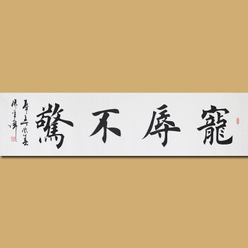 中国著名书法家 中国书画家协会 孙金库先生楷书作品——宠辱不惊