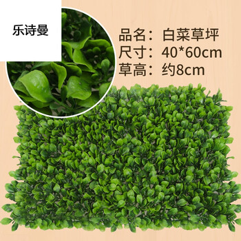 乐诗曼仿真植物阳台头背景墙田园装饰墙门假客厅草坪v阳台尤加利绿植墙消控室吊顶材料图片