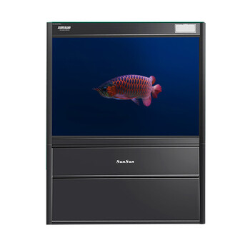 森森鱼缸水族箱大型生态龙鱼缸单面布景鱼缸底