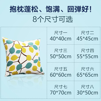 
                                        草木之语 抱枕靠垫枕办公室午睡枕套芯护腰枕靠坐垫 青枝 40cm*40cm                