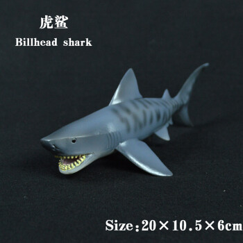 塑胶仿真海洋动物模型 虎鲨 大白鲨 食人鲨 海洋鲨鱼玩具 虎鲨