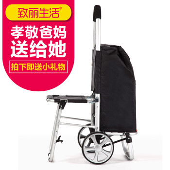 致丽生活 老年购物车带座椅手推车可坐可折叠买菜车带椅子便携小拉车铝合金拖车 橙色 S90座椅车