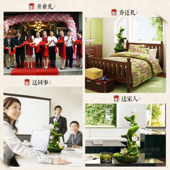 
                                                            柒夏 家居装饰品客厅假山流水喷泉摆件工艺品招财寓意开业礼品 A款荷叶+罗马柱+雾化(总高度133cm)                