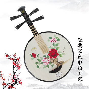 腾彩(tengcai 腾彩硬木月琴初学练习琴民乐京剧月琴西皮二黄月琴精品