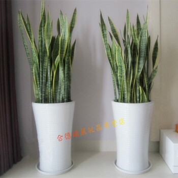 天津市汉沽区大港区东丽区西青区津南区北辰区