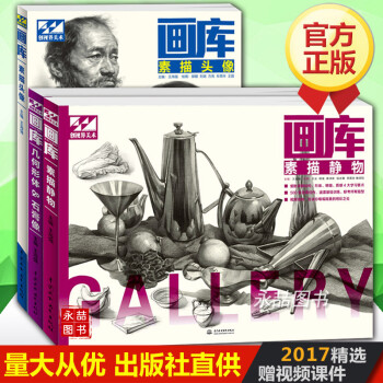 正版现货画库素描静物头像石膏像几何形体基础只是单体训练作品范例