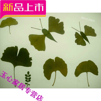 真树叶标本粘帖画 幼儿园儿童diy手工制作粘贴画材料包r 黄色 蝴蝶图图片
