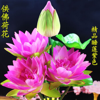 佛用品莲花寺庙佛堂装饰荷花假花佛台莲花 大花朵睡莲紫色一束不带瓶