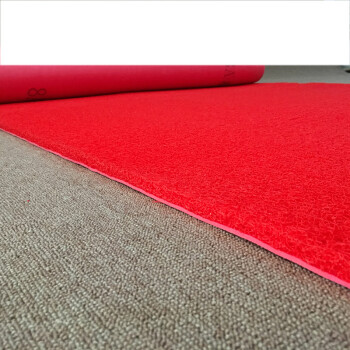 红地毯塑料丝圈地垫门垫迎宾垫进门楼梯防滑防水加厚剪裁sn0370 红色