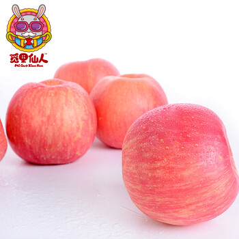 山东烟台栖霞正宗小苹果 5斤新鲜水果 红富士