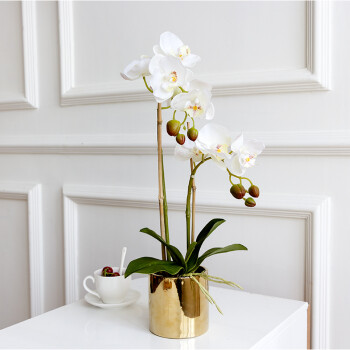 蝴蝶兰花客厅摆设手感保湿花艺套装小盆栽摆件装饰假花 白色2杈套装