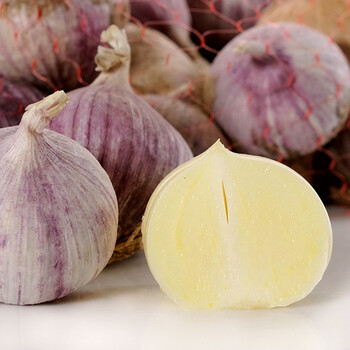 云南特产大理紫皮大蒜独头蒜 高原产地大蒜头