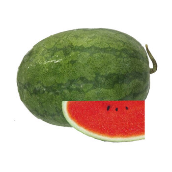 生态种植西瓜 夏季新鲜水果 3~4.5公斤