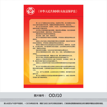 工作宣传栏 党建制度宣传画 妇女权益保护法墙