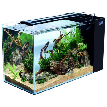 水族箱中大型侧滤玄关屏风热带鱼生态造景金鱼缸水族箱超白缸800mm dx