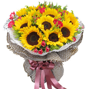 速递 11枝向日葵花束 全国鲜花快递 生日订花 