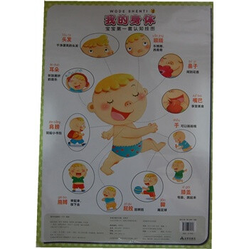 我的身体 宝宝第一套认知挂图 曾芳,张驰,张璟