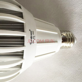 富虹斯 节能球泡灯 E27螺口 工厂车间工矿仓库大功率LED灯泡 30w 日光色(白光)