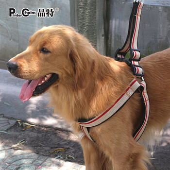 嗨派特 棉带狗绳 狗链子 狗狗胸背套 大中型犬牵