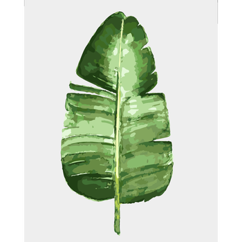 新款qianzuo北欧客厅绿色植物花卉diy数字油画油彩画小清新装饰画龟背