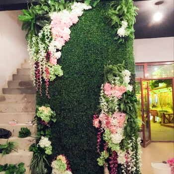 植物墙设计-室内植物墙——浙江明筑负离子植物墙 带你走到自然里