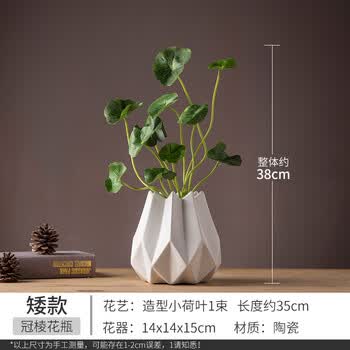 家庭装饰品摆件酒柜家居客厅电视柜创意玄关现代卧室房间家装摆设 冠