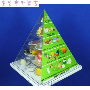 2016版膳食宝塔中国居民膳食平衡宝塔食物膳食金字塔营养食物模型