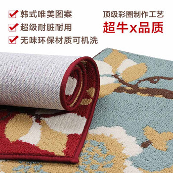 
                                        云亦YUNYI 花开富贵进门门垫 门厅地垫门口入户地毯客厅出入平安脚垫 现代简约 百年好合 80*110 CM                