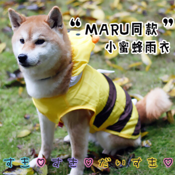 网红maru同款 柴犬衣服小蜜蜂雨衣 必收款 宠物雨衣服装 黄色 s(胸围