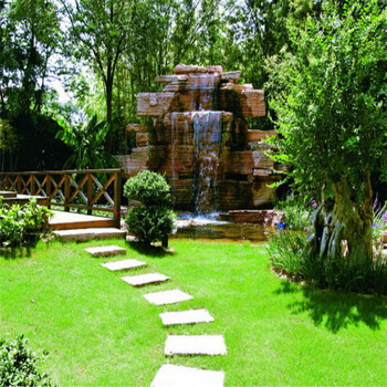 国四季青 马尼拉草籽 百慕大 果岭草不修剪 三叶