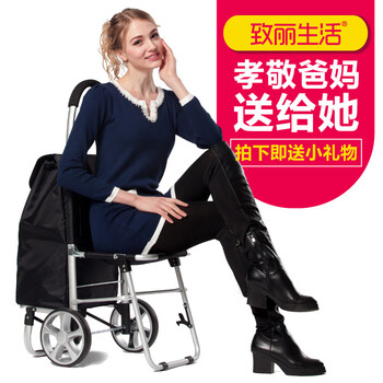 致丽生活 老年购物车带座椅手推车可坐可折叠买菜车带椅子便携小拉车铝合金拖车 橙色 S90座椅车
