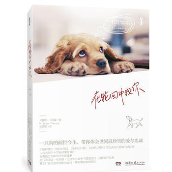 9787540449308 在轮回中找你(电影《一条狗的使命》原著小说) 湖南