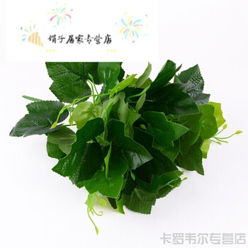 绿色盆栽背景绿叶桌面电视树叶边框盆景350_350无植物背景贴画墙壁纸图片