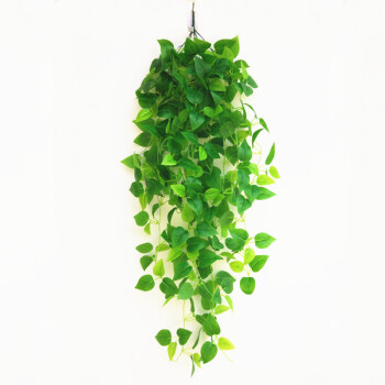 装饰遮挡挂墙绿植仿真树叶子绿萝假花藤条室内植物吊兰绿色叶垂吊