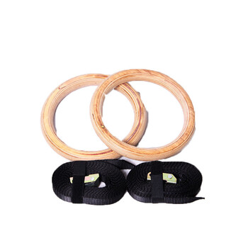 节健身房家用体操吊环引体向上倒挂健身器材 