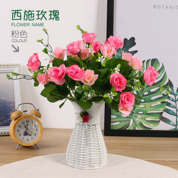 西施玫瑰-粉【图片 价格 品牌 报价-京东
