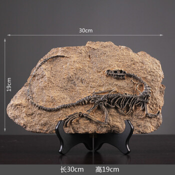 创意复古恐龙化石摆件北欧家居壁挂壁饰咖啡厅酒吧装饰品摆设 恐龙16