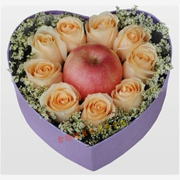 屏德江沿河松桃县万山特区兴义兴仁贞丰安龙里